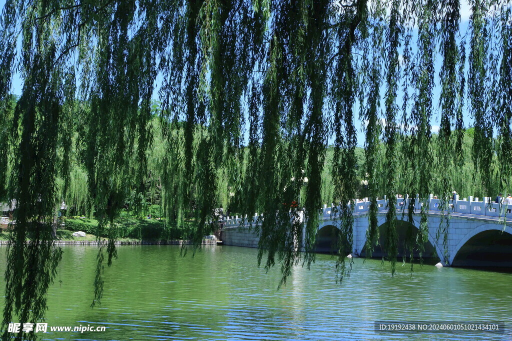 陶然亭风景  