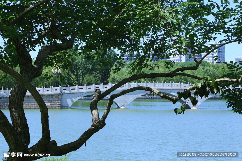 公园风景 