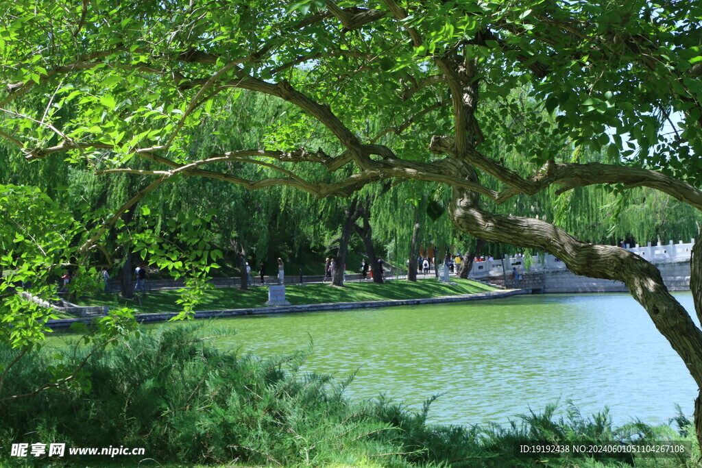 公园风景 