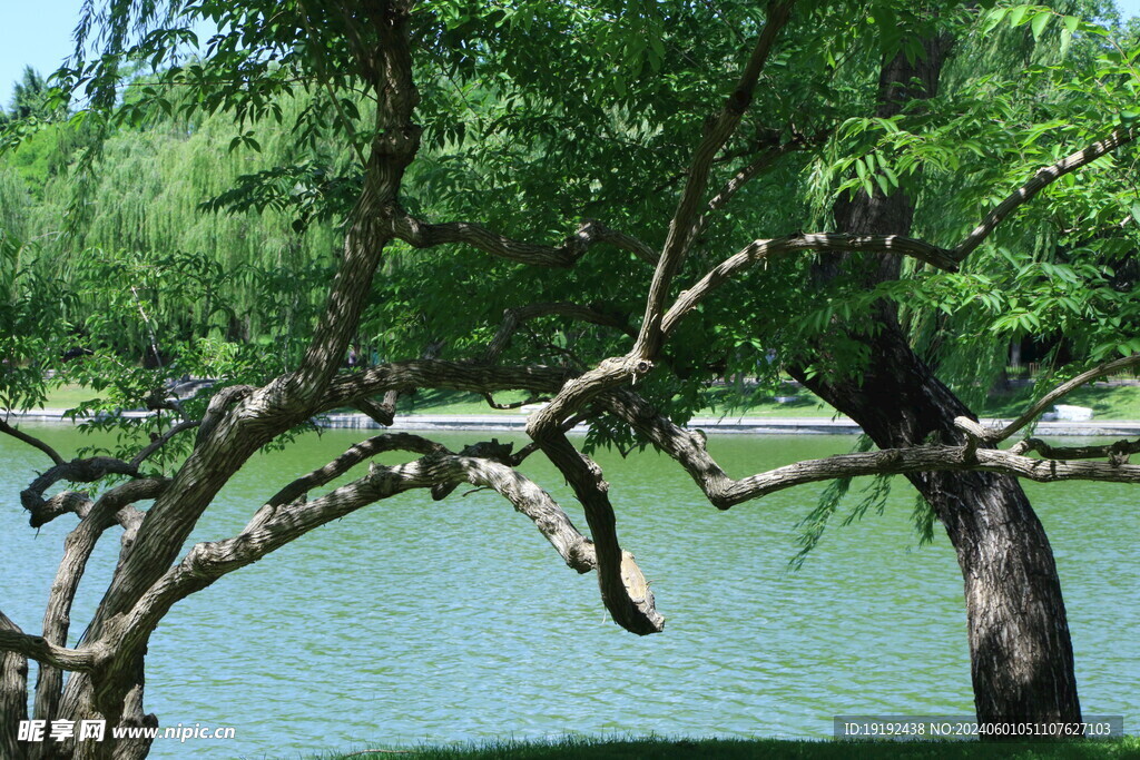 陶然亭风景 