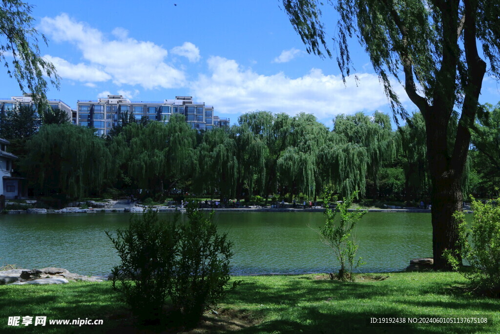 陶然亭风景 