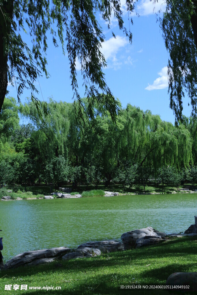 公园风景  
