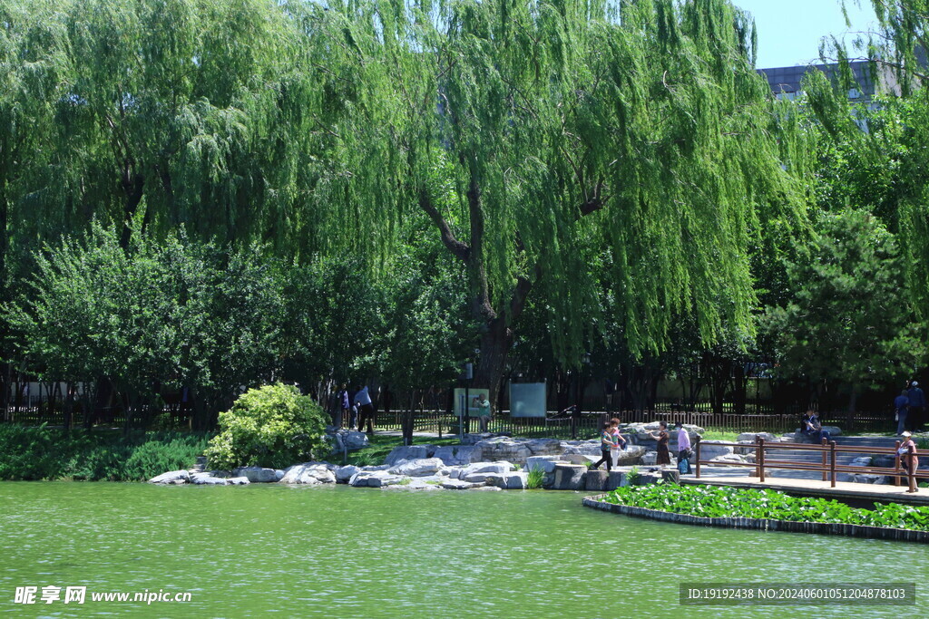陶然亭风景 