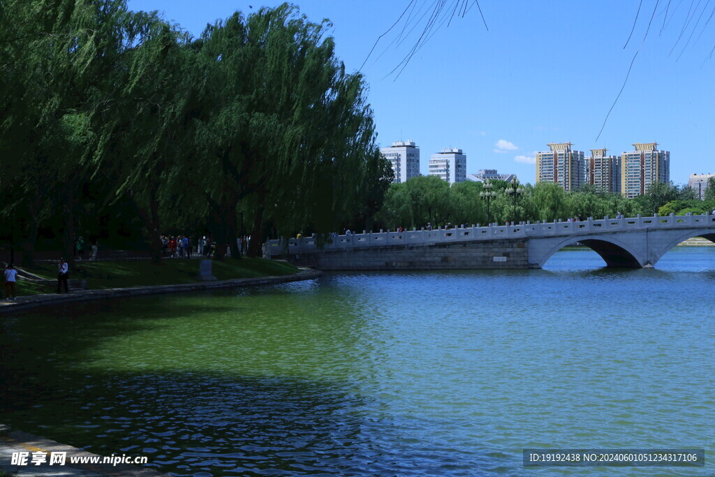 公园风景 
