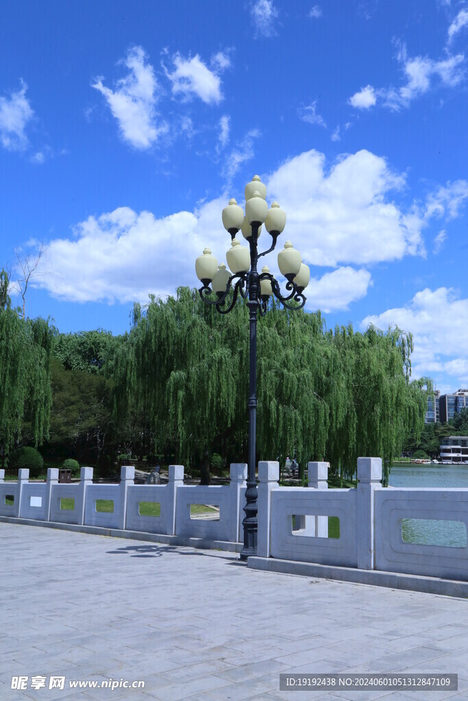 公园风景  
