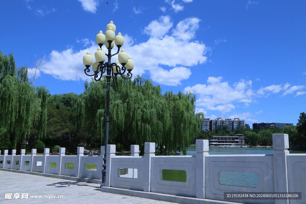 公园风景  