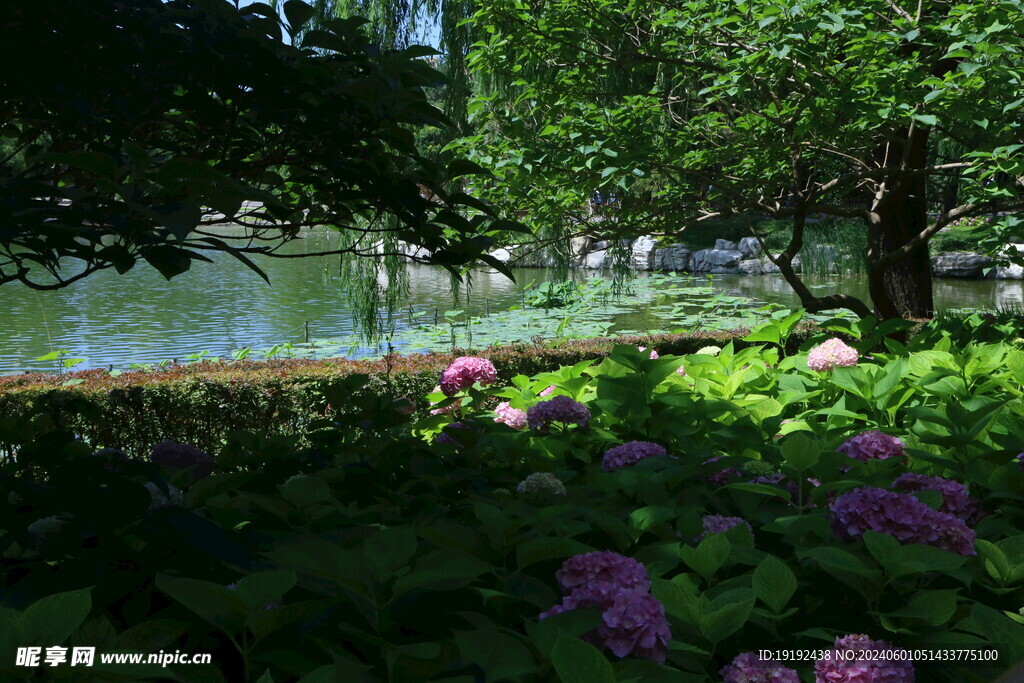陶然亭风景  