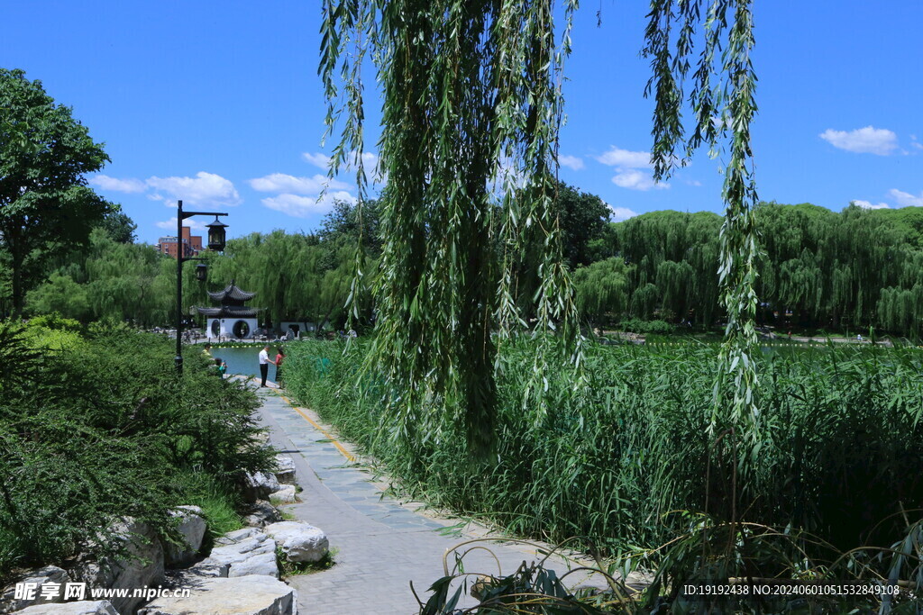 陶然亭风景 