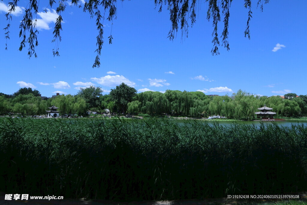 公园风景 