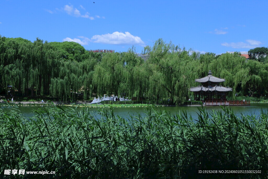 公园风景 