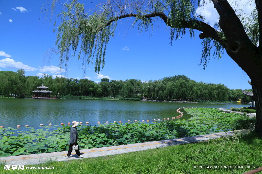 公园风景 