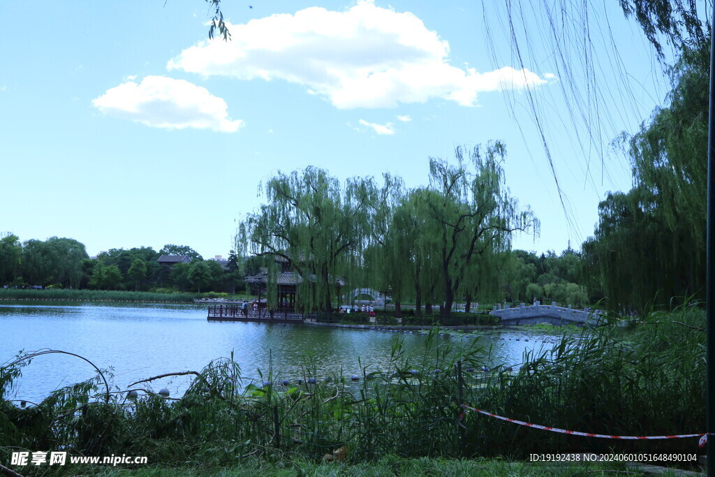 公园风景 