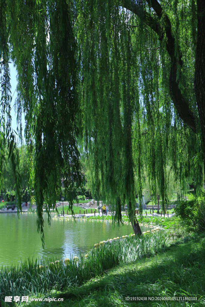 公园风景 