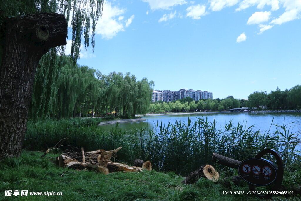 公园风景  