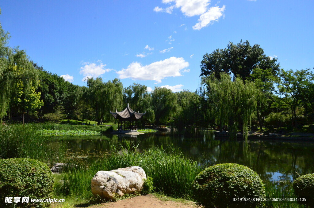 公园风景   