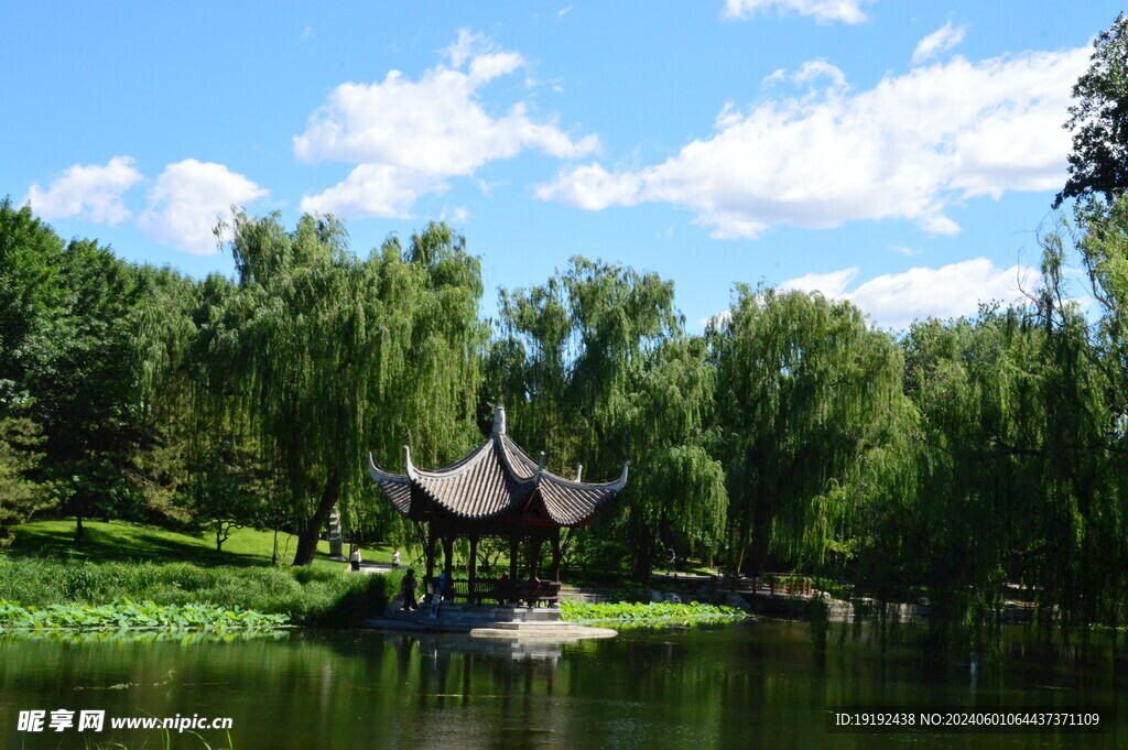 公园风景 
