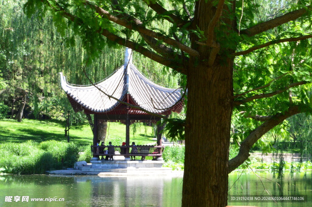 陶然亭风景 