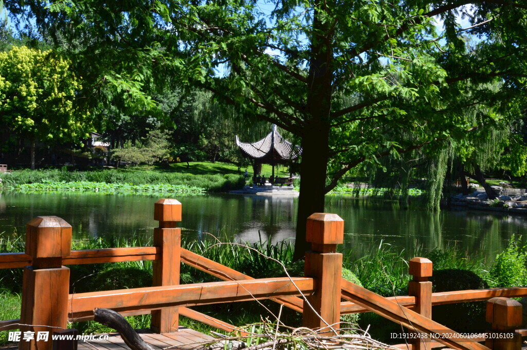 陶然亭风景 