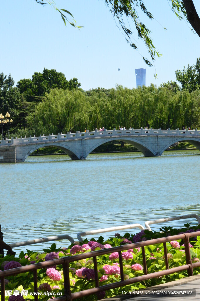 公园风景 
