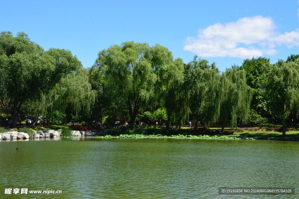 陶然亭风景  