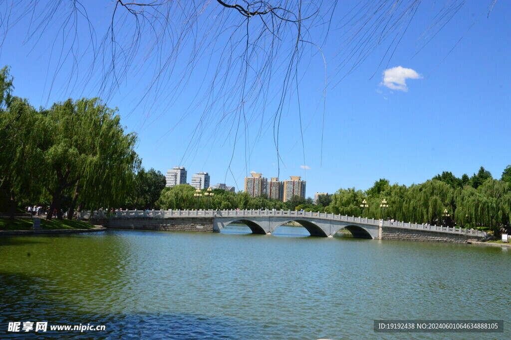 公园风景   