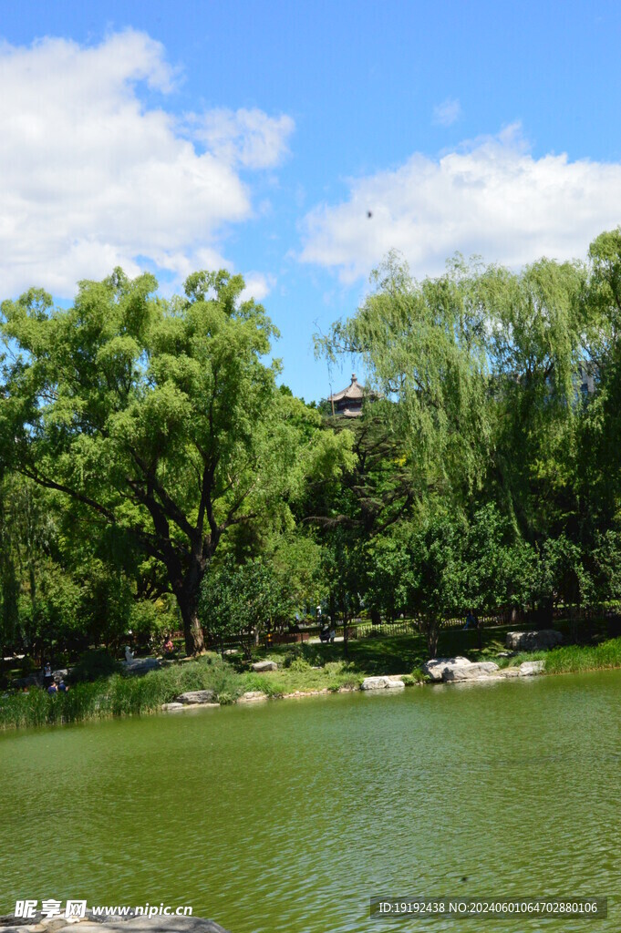 公园风景  