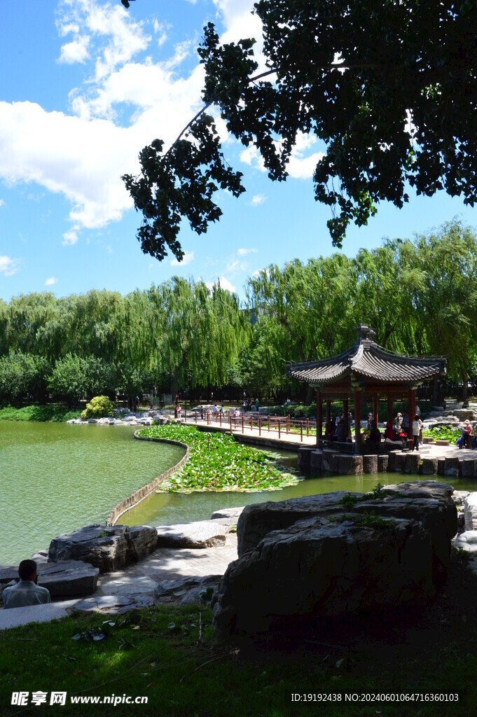 公园风景 