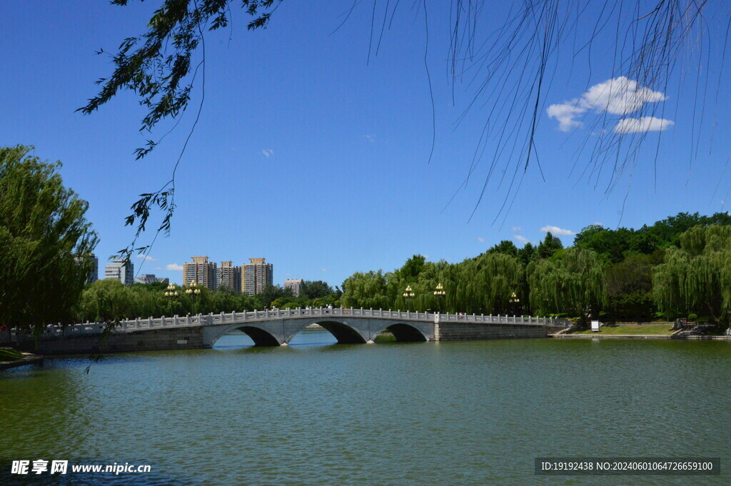 公园风景  