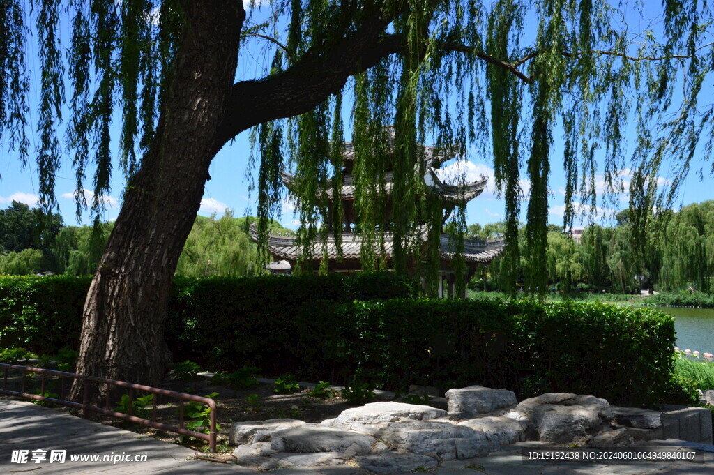 陶然亭风景  