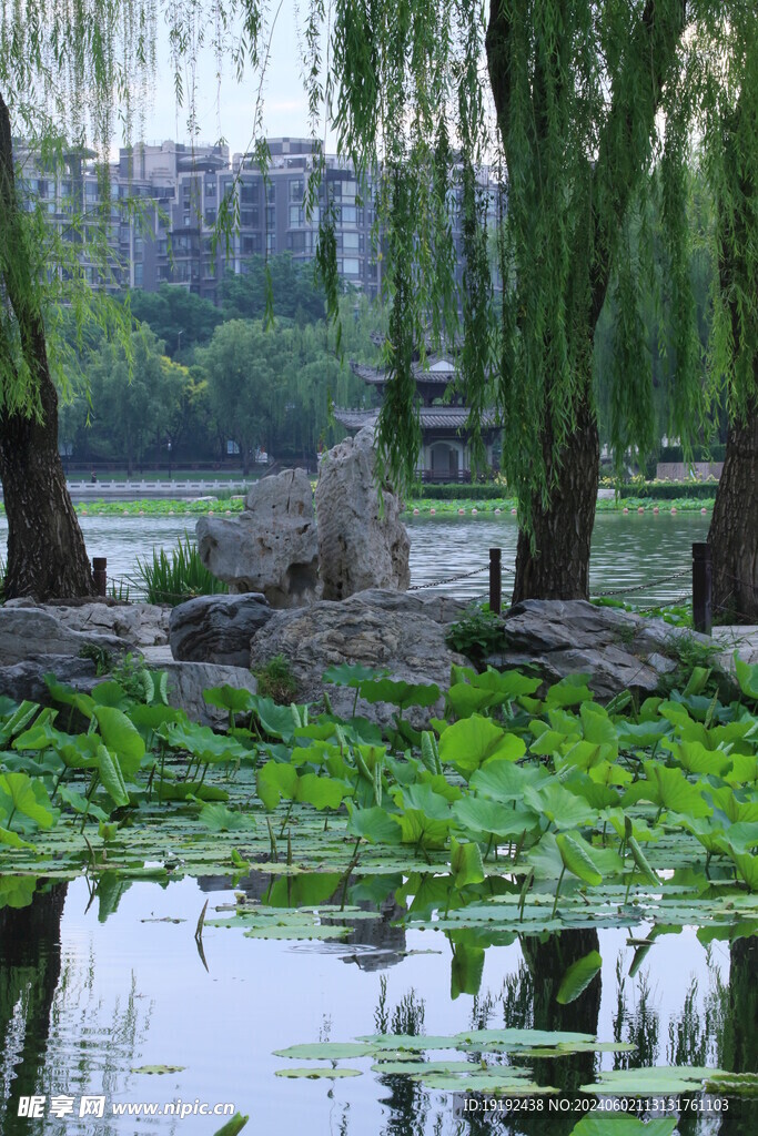 公园风景 