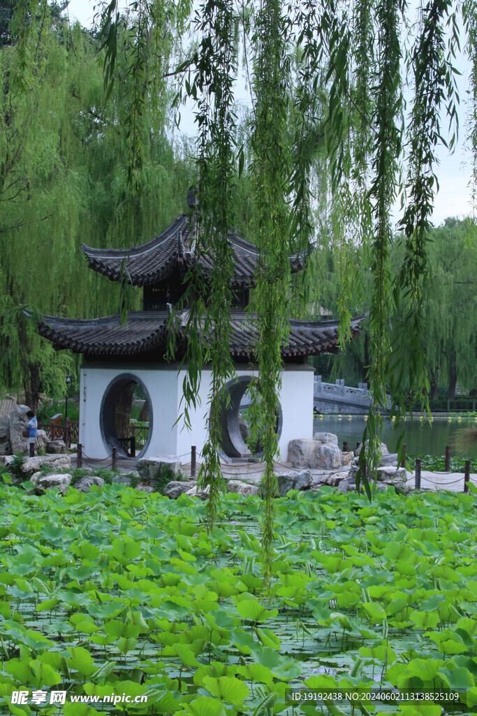 公园风景 