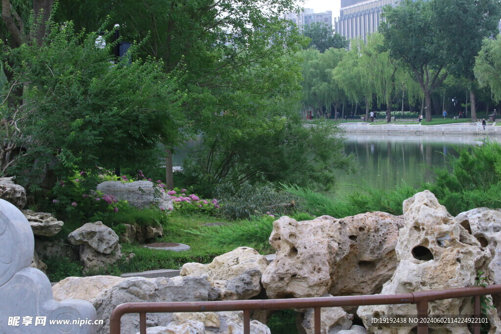 公园风景 