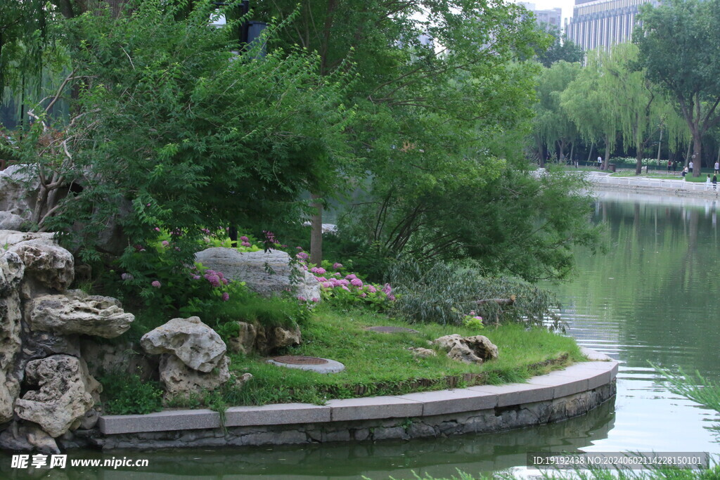 公园风景  