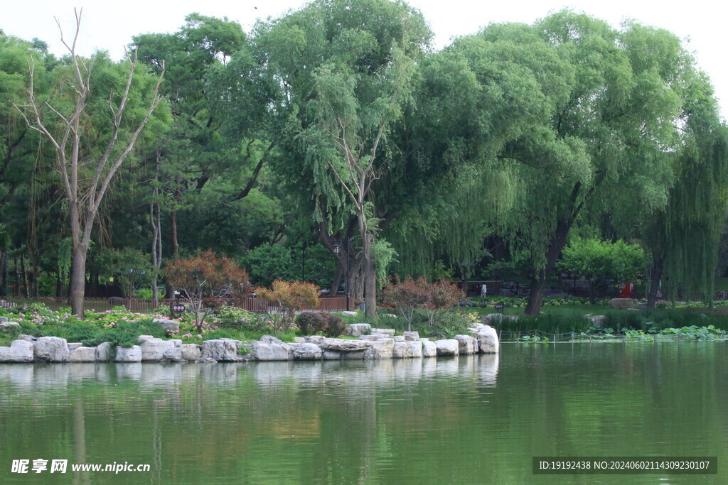 公园风景  