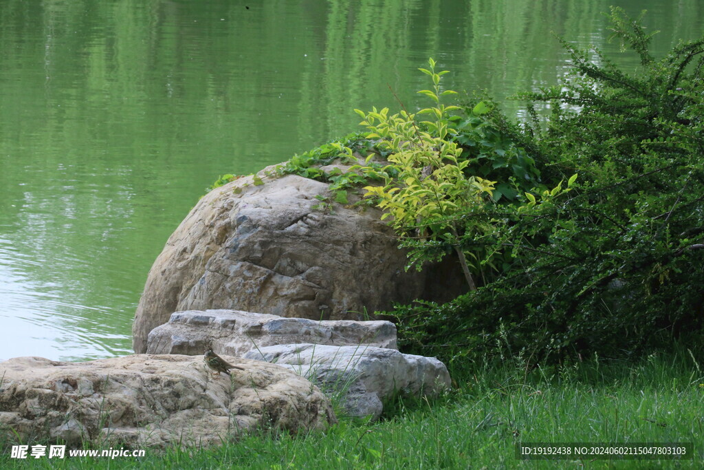 公园风景 