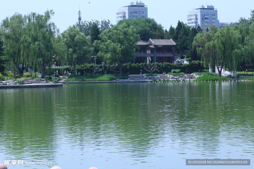 公园风景 