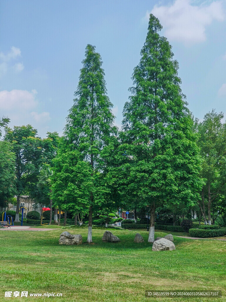 蓝天白云绿树