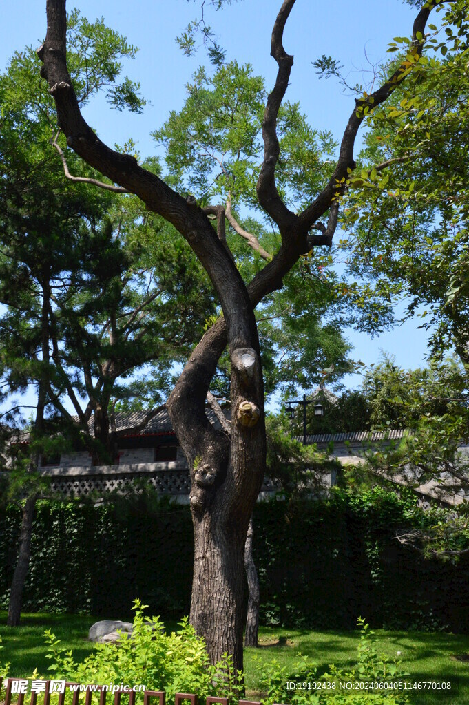   陶然亭风景 