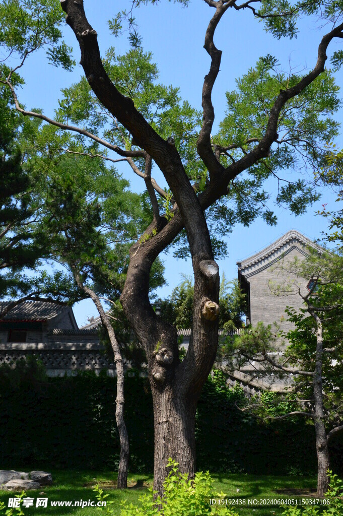 公园风景  