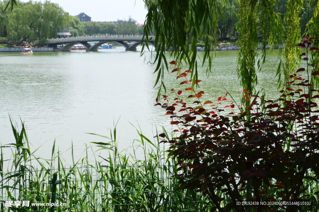 公园风景  