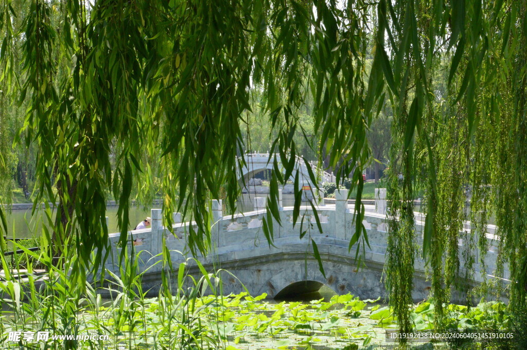 公园风景 