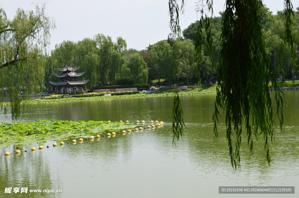 公园风景  