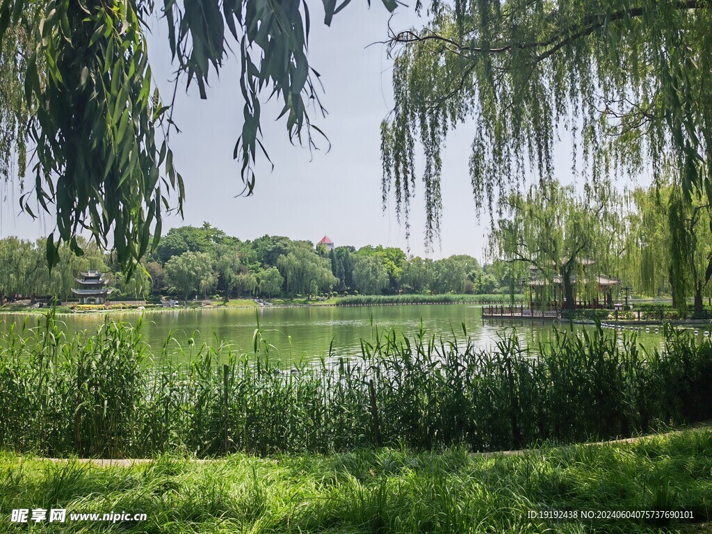 公园风景  