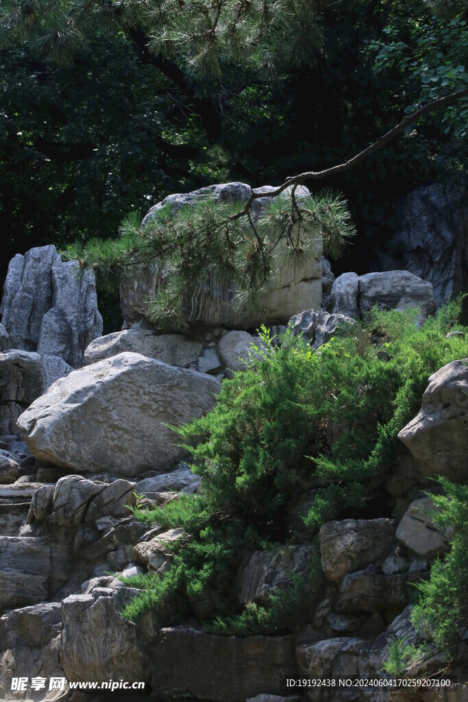 公园风景  
