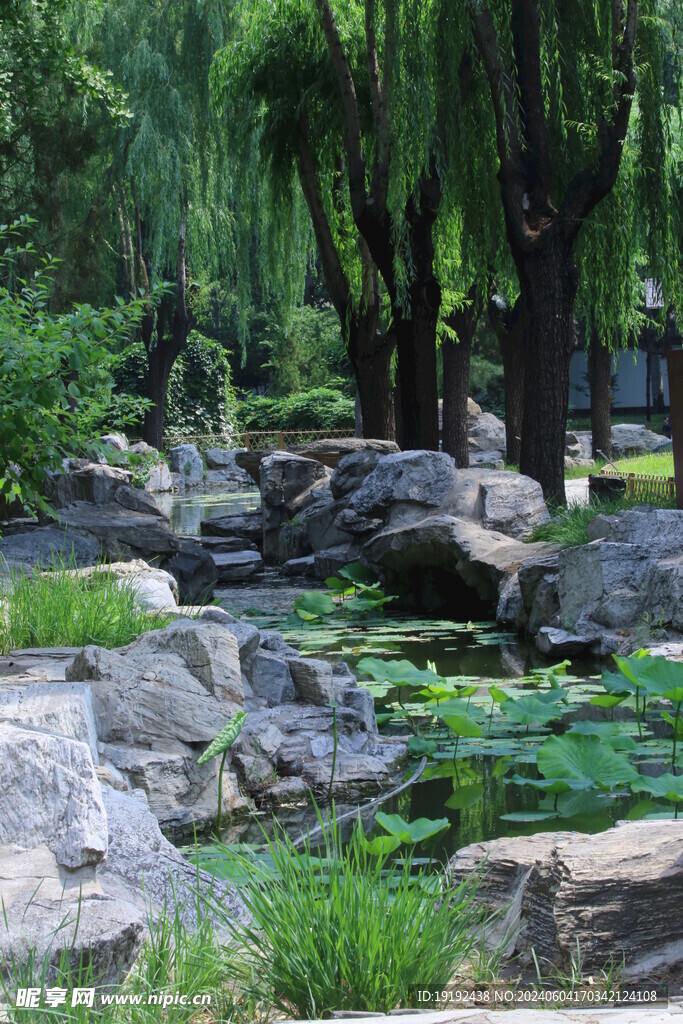 公园风景  