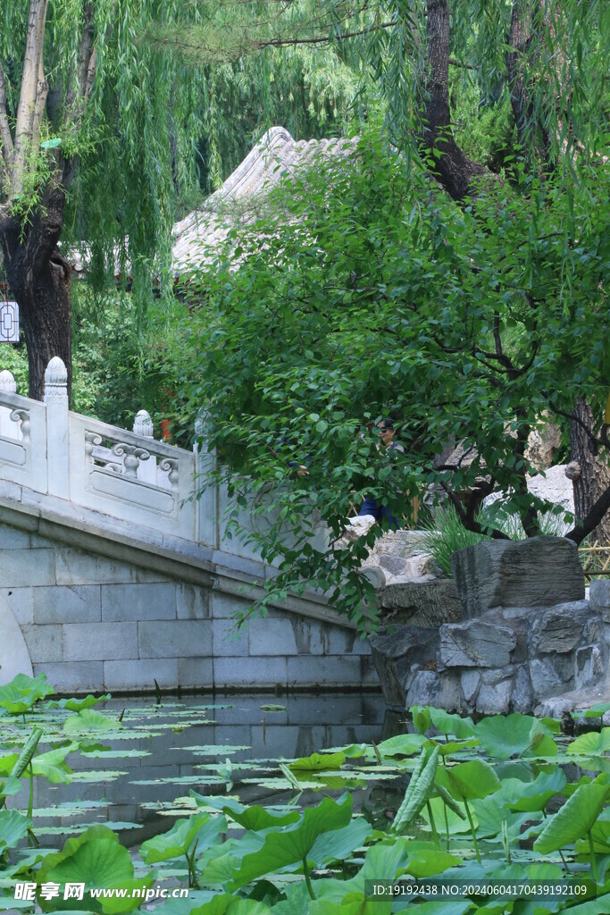 公园风景  