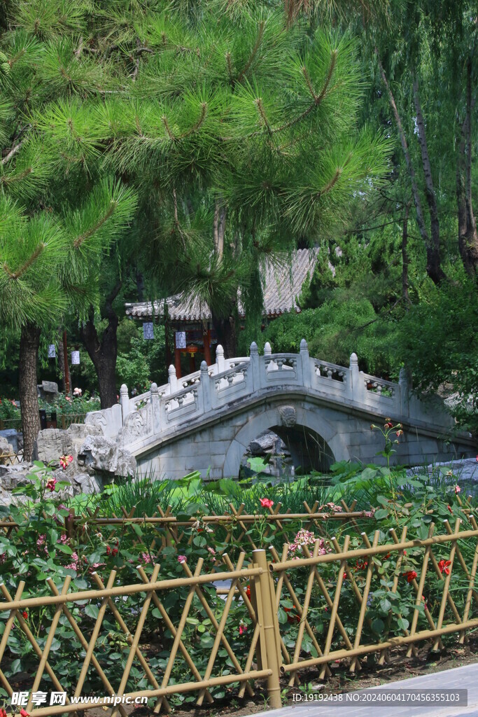 公园风景  