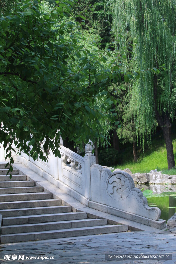 公园风景  