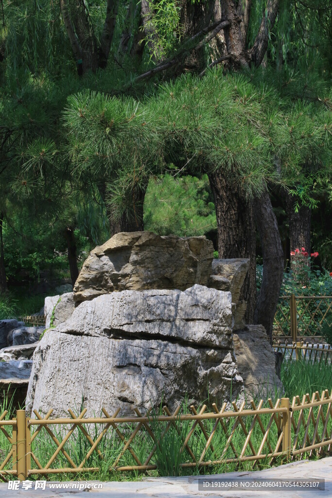 公园风景  