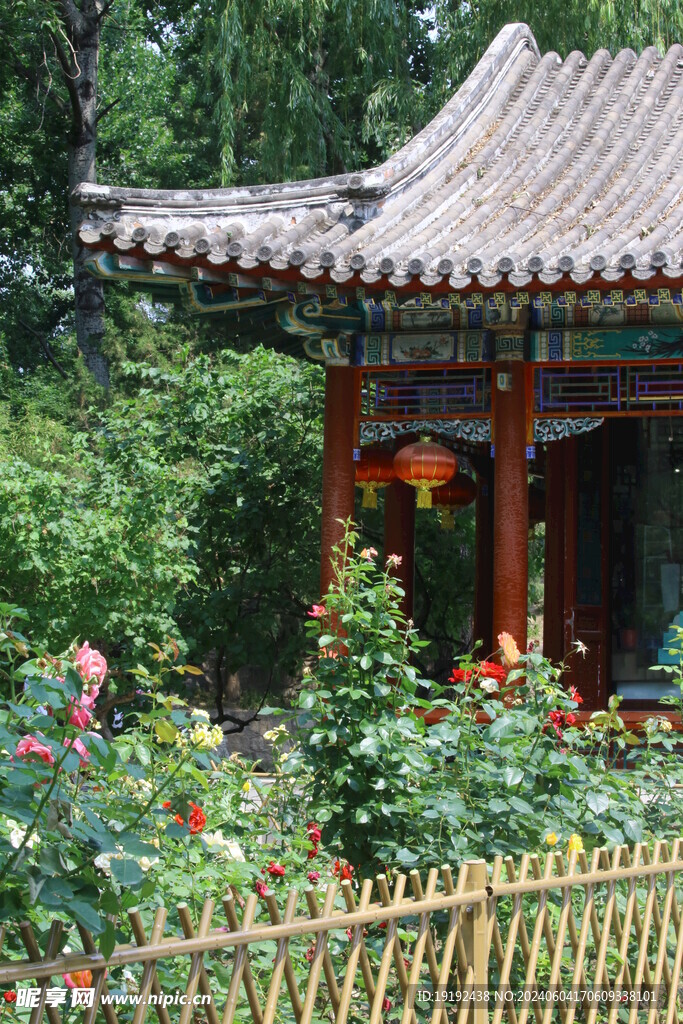 公园风景  